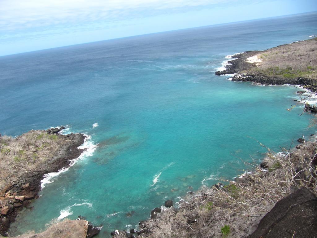 プエルトアヨラ Ocean Dreams Galapagosホステル エクステリア 写真