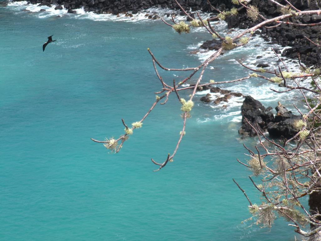 プエルトアヨラ Ocean Dreams Galapagosホステル エクステリア 写真